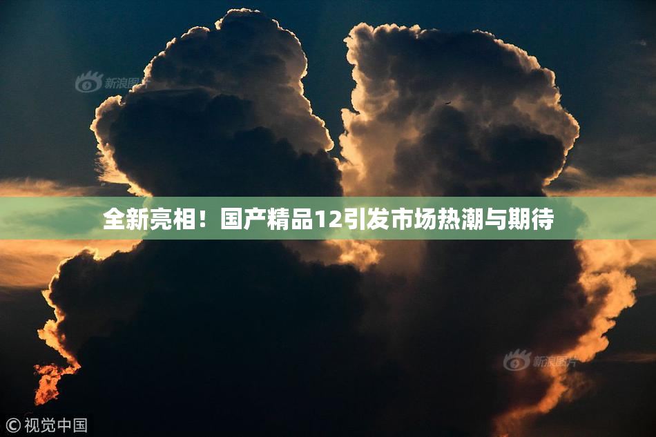 全新亮相！国产精品12引发市场热潮与期待