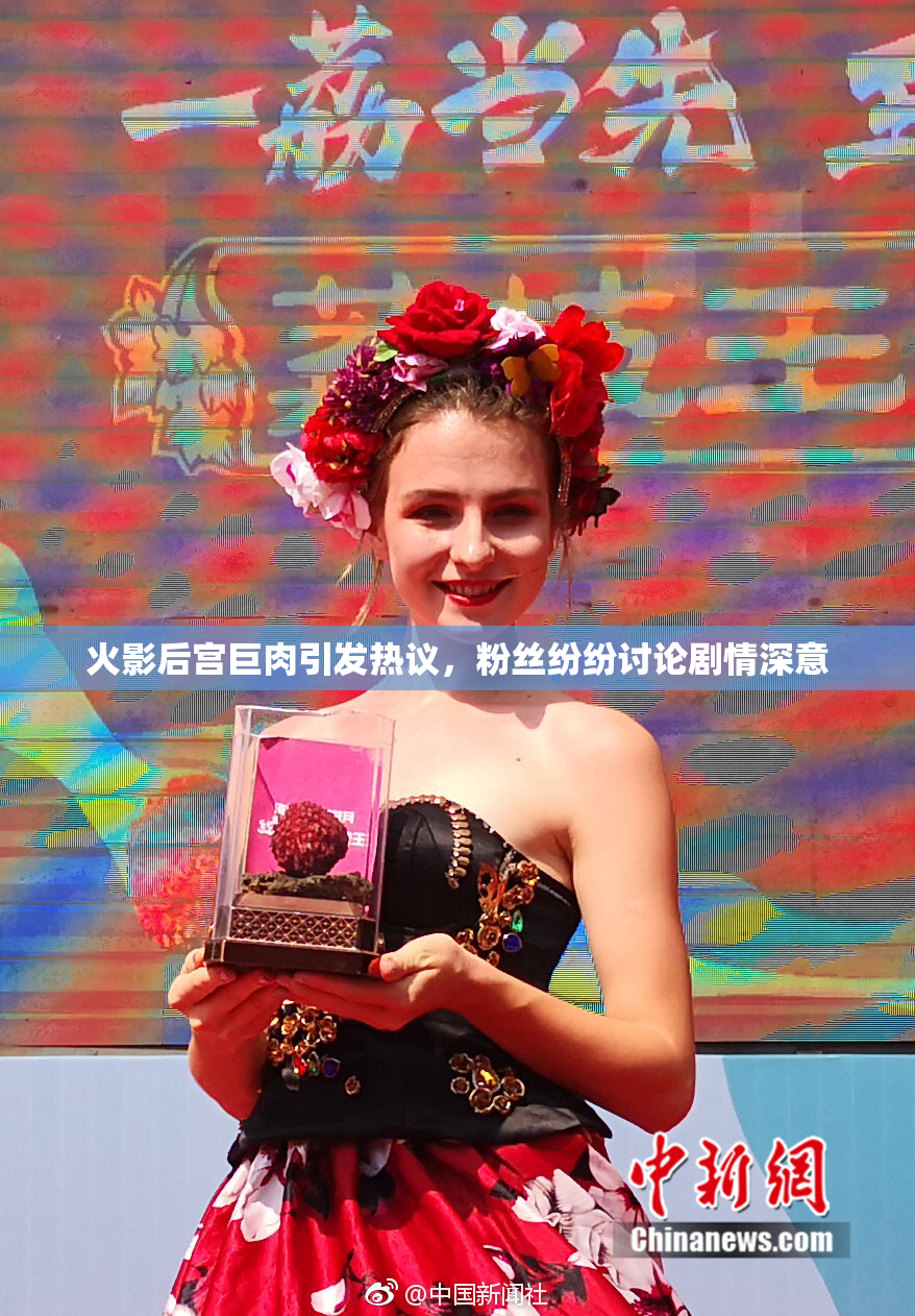 火影后宫巨肉引发热议，粉丝纷纷讨论剧情深意