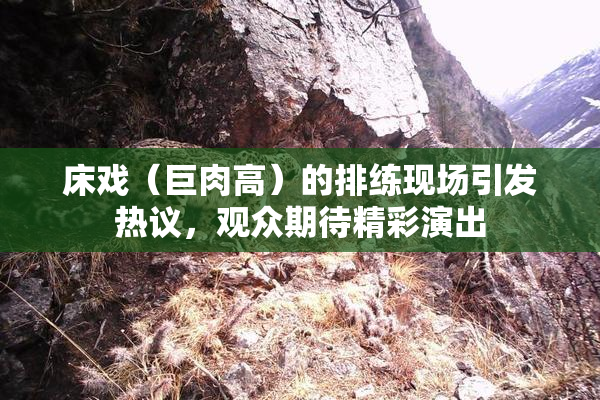 床戏（巨肉高）的排练现场引发热议，观众期待精彩演出