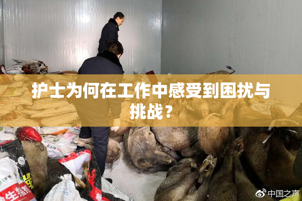 护士为何在工作中感受到困扰与挑战？