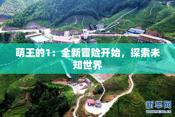 萌王的1：全新冒险开始，探索未知世界