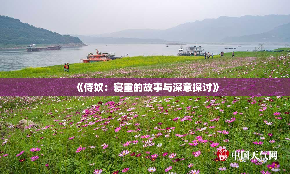 《侍奴：寝重的故事与深意探讨》