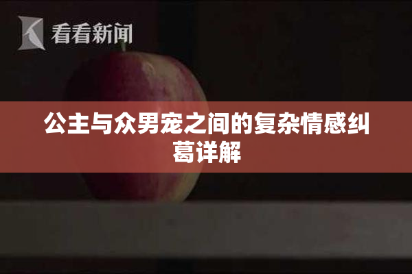 公主与众男宠之间的复杂情感纠葛详解