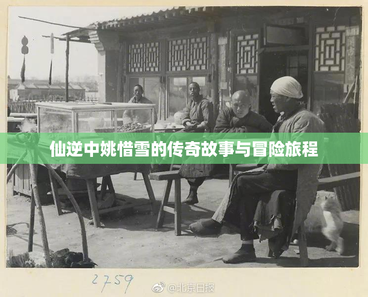 仙逆中姚惜雪的传奇故事与冒险旅程