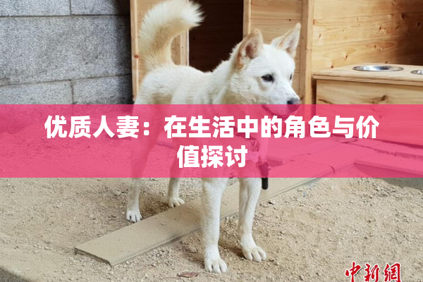 优质人妻：在生活中的角色与价值探讨