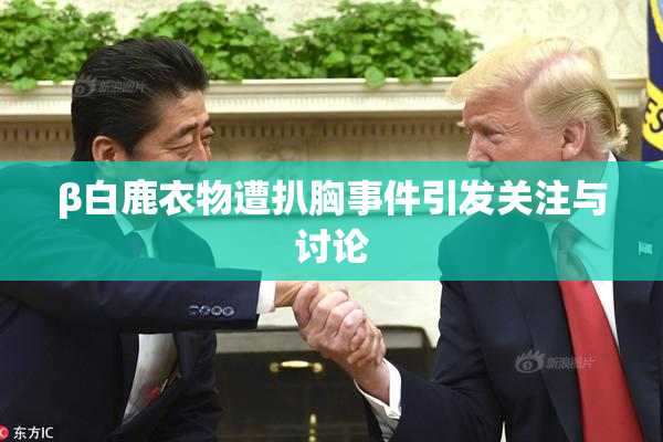 β白鹿衣物遭扒胸事件引发关注与讨论