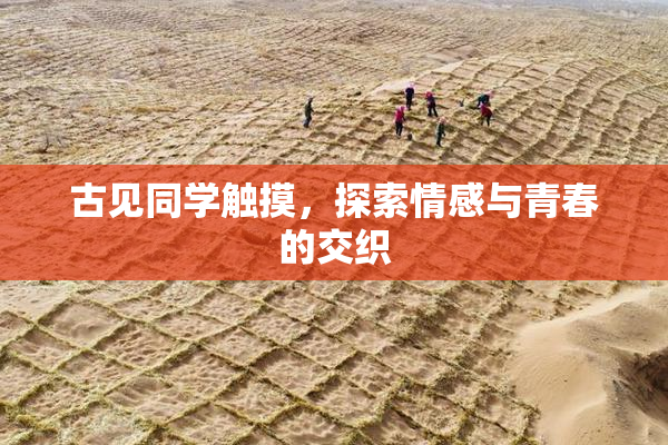 古见同学触摸，探索情感与青春的交织
