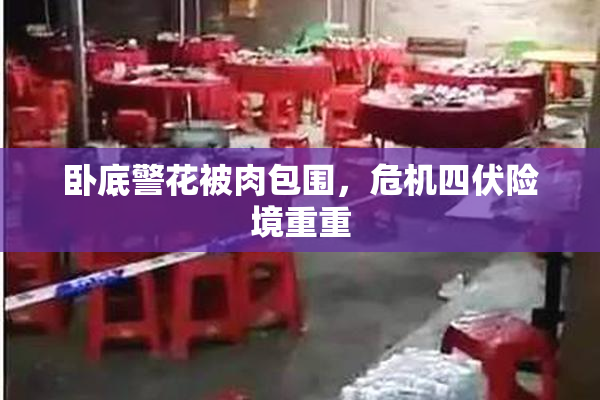 卧底警花被肉包围，危机四伏险境重重