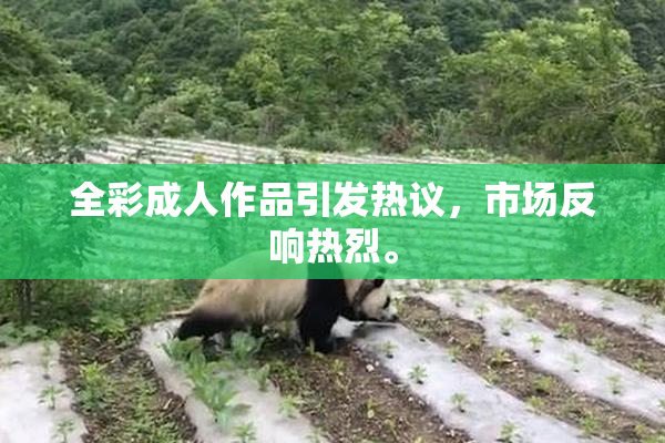 全彩成人作品引发热议，市场反响热烈。