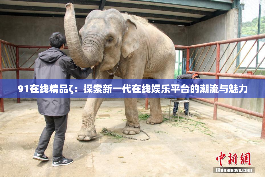 91在线精品ζ：探索新一代在线娱乐平台的潮流与魅力