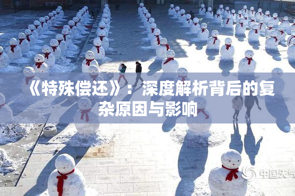 《特殊偿还》：深度解析背后的复杂原因与影响
