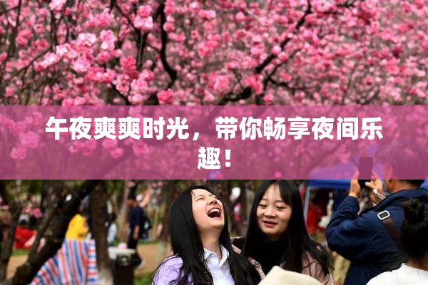 午夜爽爽时光，带你畅享夜间乐趣！