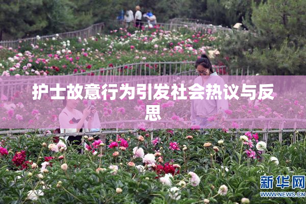 护士故意行为引发社会热议与反思