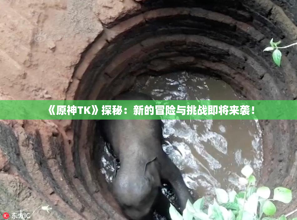 《原神TK》探秘：新的冒险与挑战即将来袭！