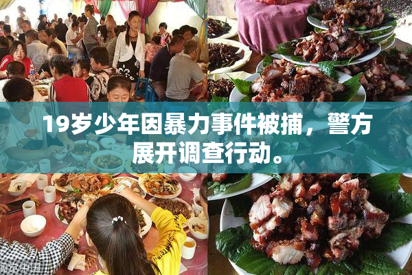 19岁少年因暴力事件被捕，警方展开调查行动。