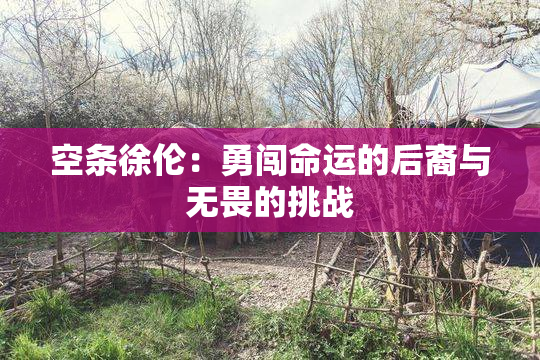 空条徐伦：勇闯命运的后裔与无畏的挑战