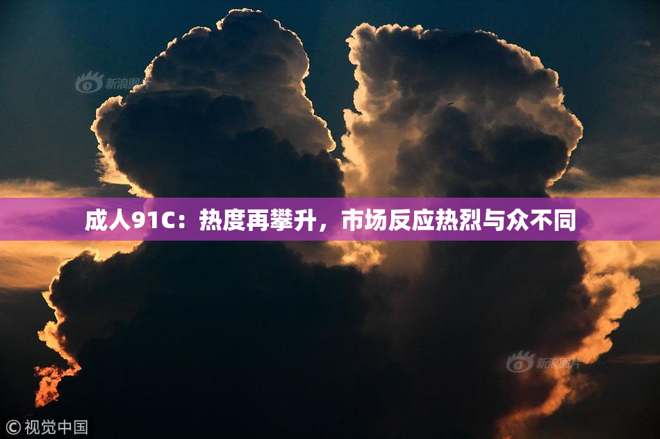 成人91C：热度再攀升，市场反应热烈与众不同