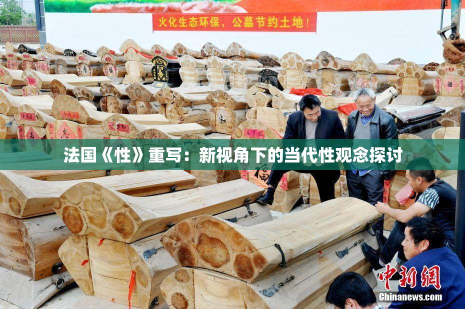 法国《性》重写：新视角下的当代性观念探讨