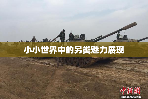 小小世界中的另类魅力展现