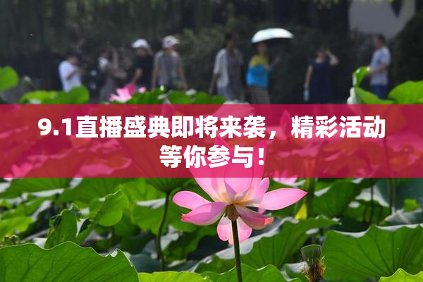9.1直播盛典即将来袭，精彩活动等你参与！