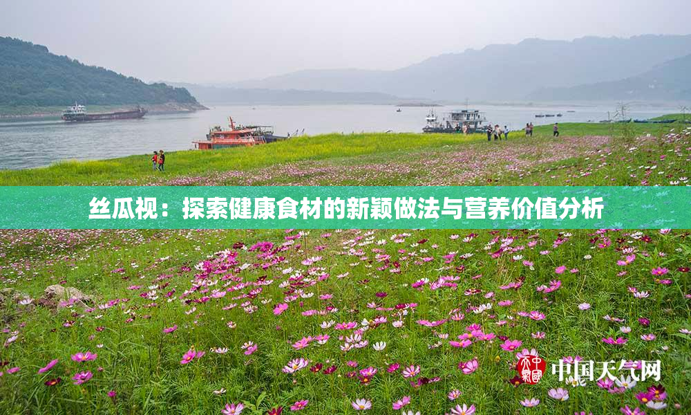 丝瓜视：探索健康食材的新颖做法与营养价值分析