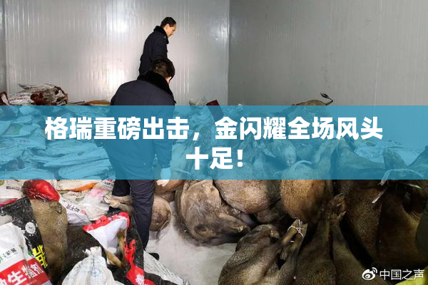 格瑞重磅出击，金闪耀全场风头十足！