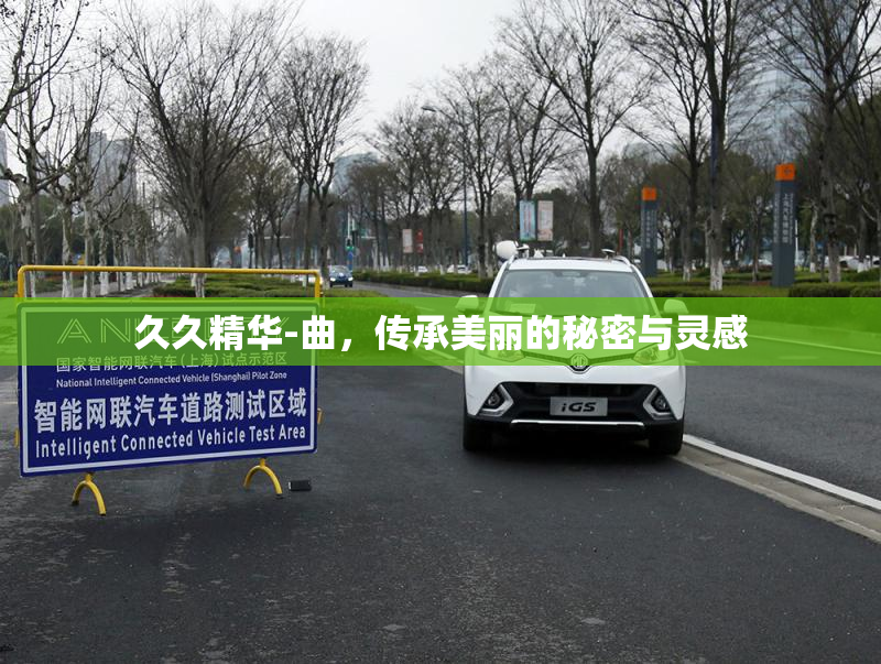 久久精华-曲，传承美丽的秘密与灵感