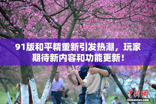 91版和平精重新引发热潮，玩家期待新内容和功能更新！