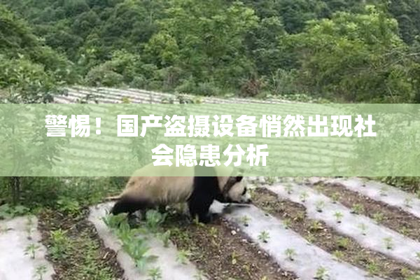 警惕！国产盗摄设备悄然出现社会隐患分析