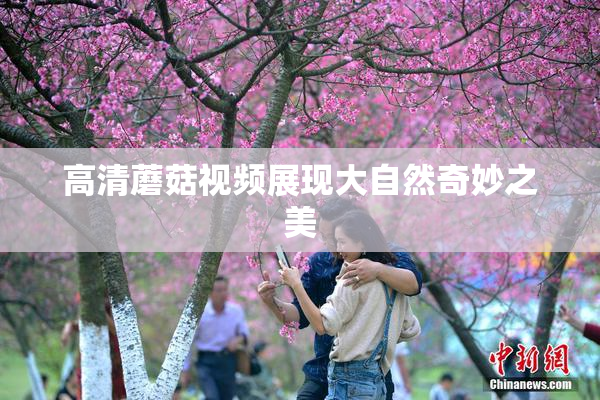 高清蘑菇视频展现大自然奇妙之美