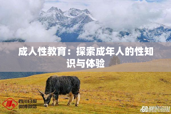 成人性教育：探索成年人的性知识与体验