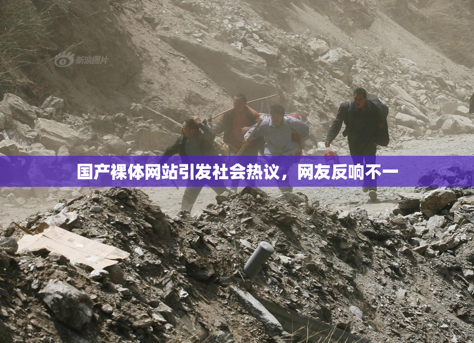 国产裸体网站引发社会热议，网友反响不一