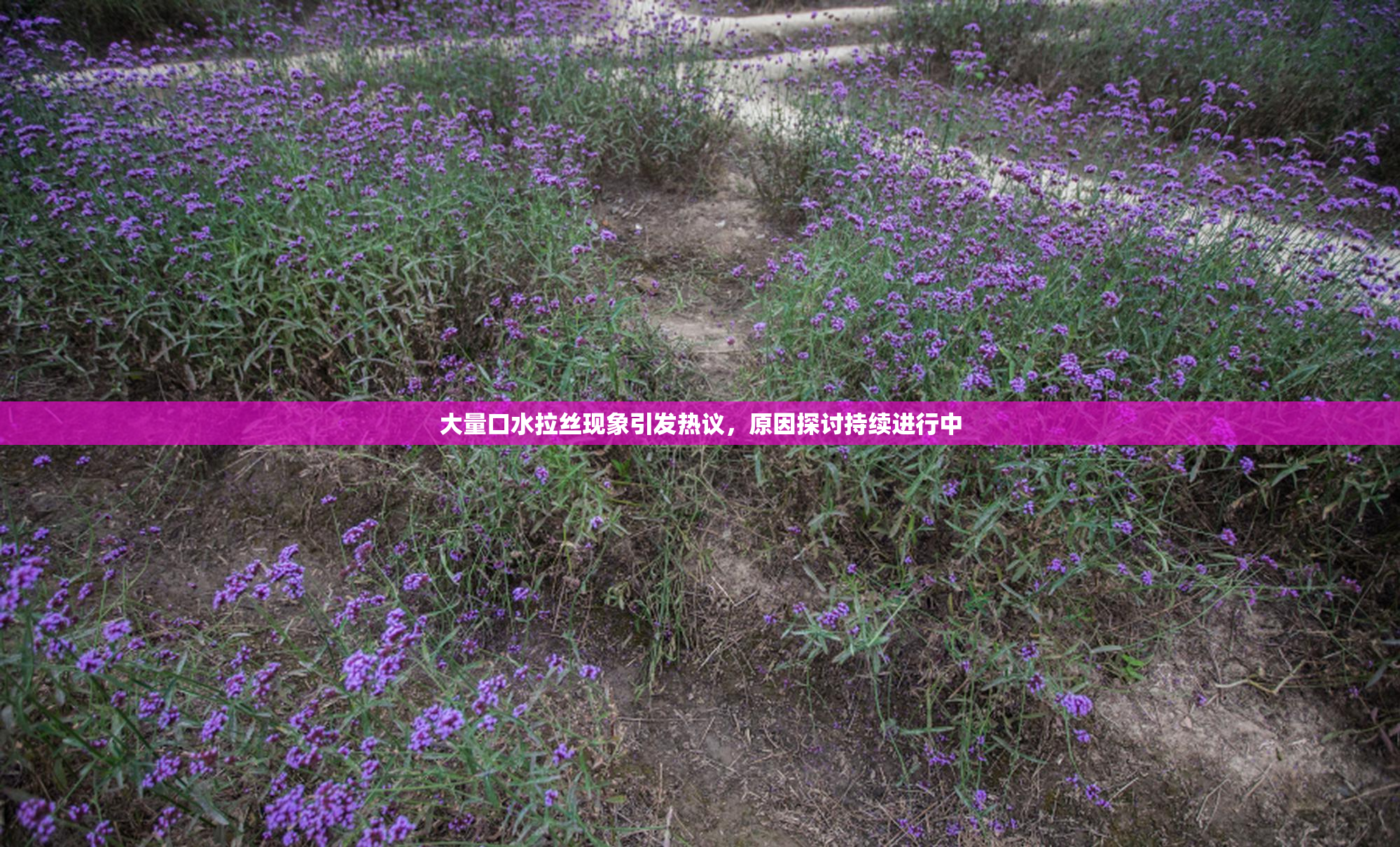 大量口水拉丝现象引发热议，原因探讨持续进行中