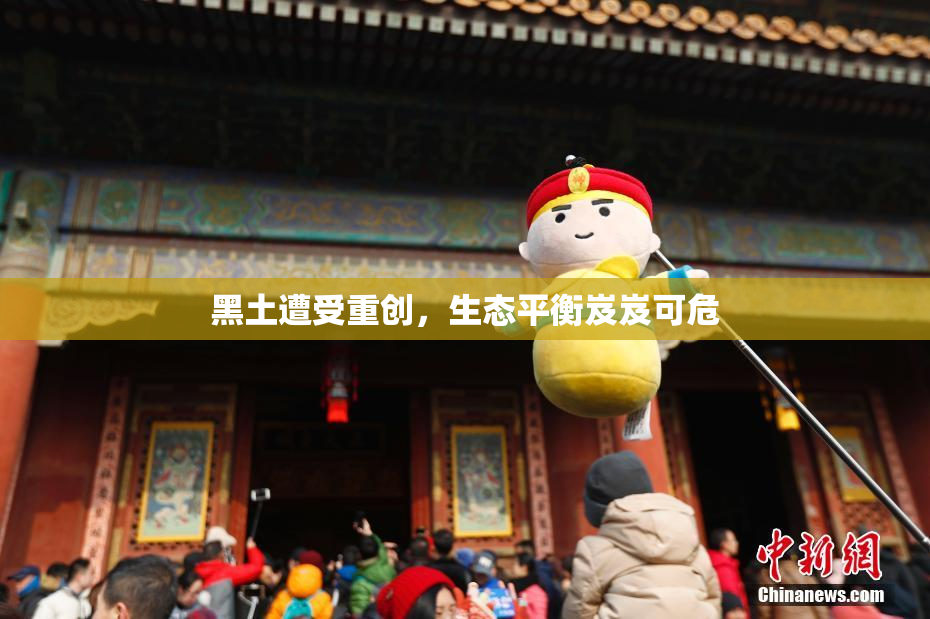 黑土遭受重创，生态平衡岌岌可危