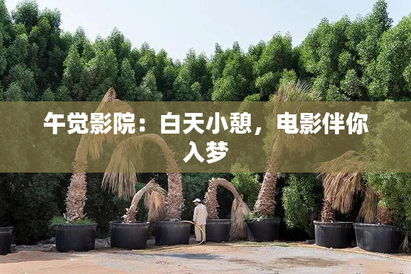 午觉影院：白天小憩，电影伴你入梦