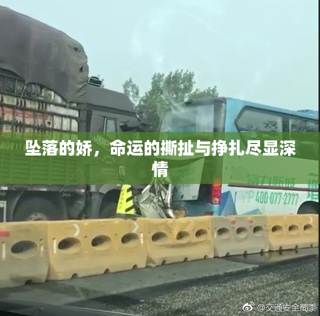 坠落的娇，命运的撕扯与挣扎尽显深情