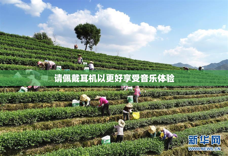 请佩戴耳机以更好享受音乐体验