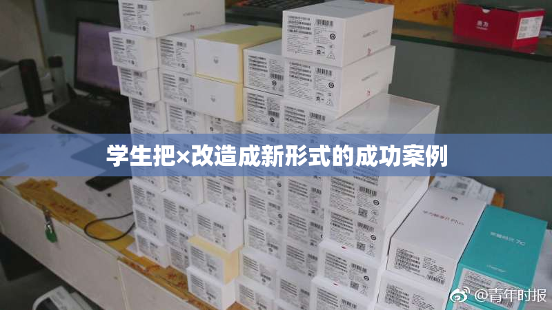学生把×改造成新形式的成功案例