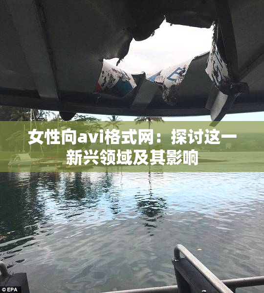 女性向avi格式网：探讨这一新兴领域及其影响