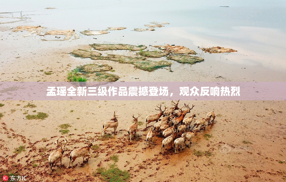 孟瑶全新三级作品震撼登场，观众反响热烈