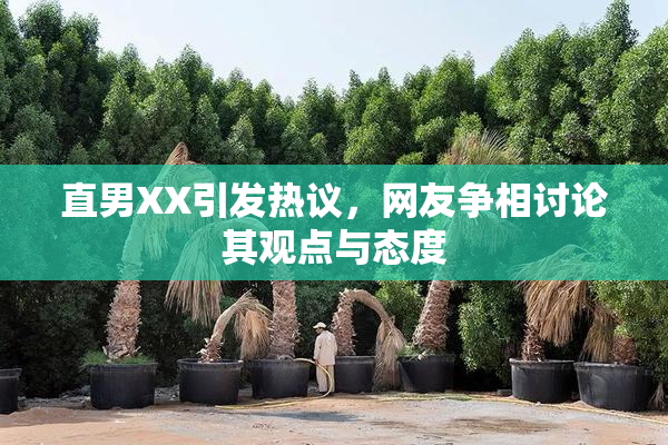 直男XX引发热议，网友争相讨论其观点与态度