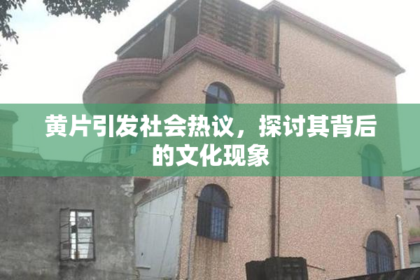 黄片引发社会热议，探讨其背后的文化现象