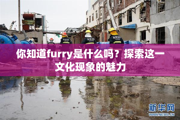 你知道furry是什么吗？探索这一文化现象的魅力