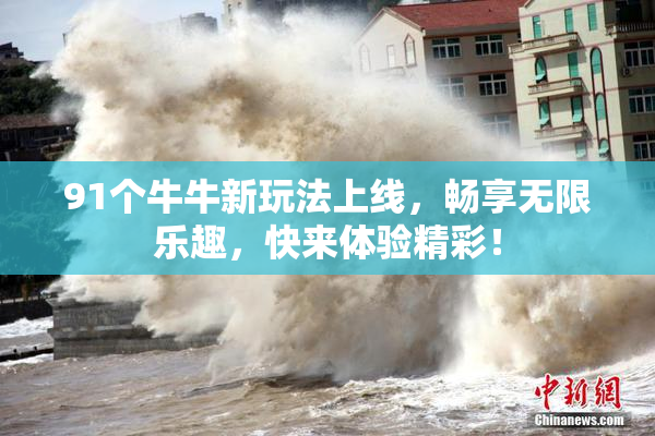 91个牛牛新玩法上线，畅享无限乐趣，快来体验精彩！