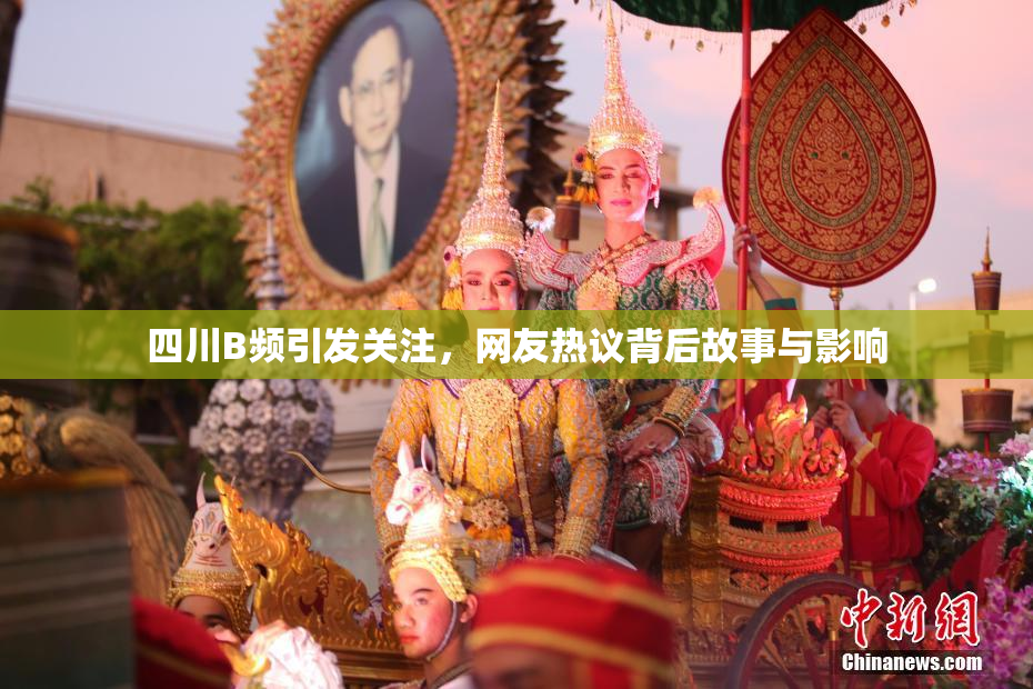 四川B频引发关注，网友热议背后故事与影响