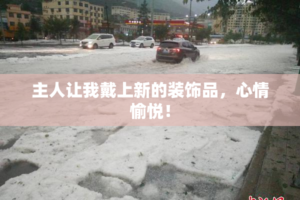 主人让我戴上新的装饰品，心情愉悦！