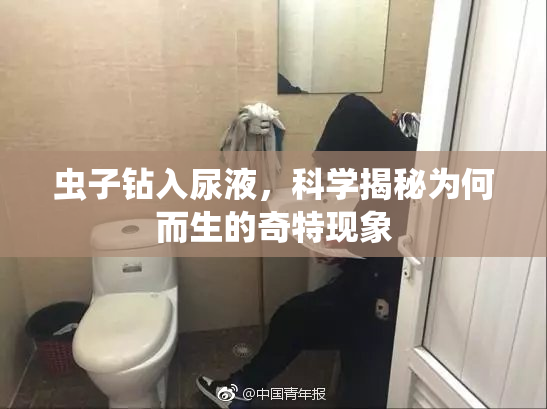 虫子钻入尿液，科学揭秘为何而生的奇特现象