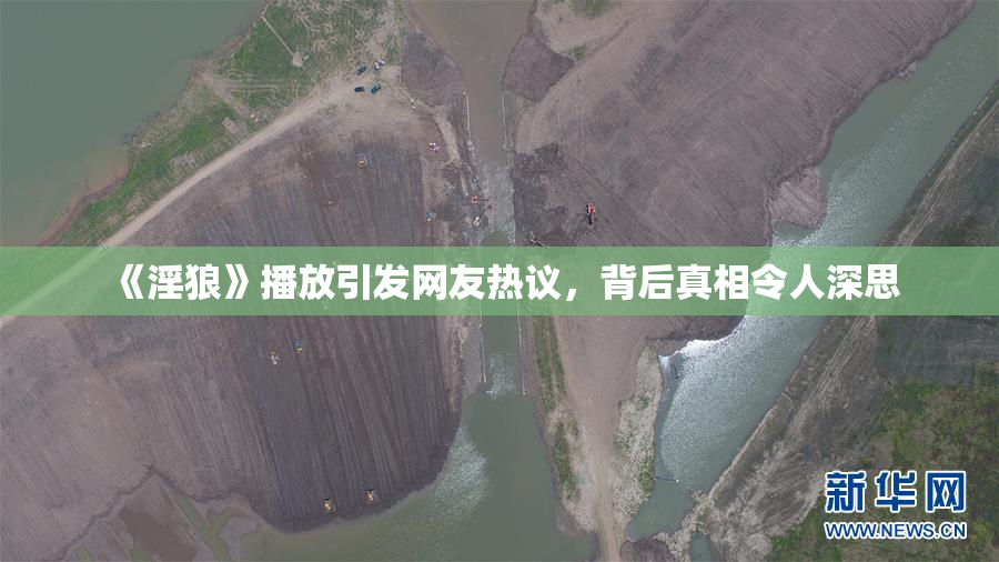 《淫狼》播放引发网友热议，背后真相令人深思