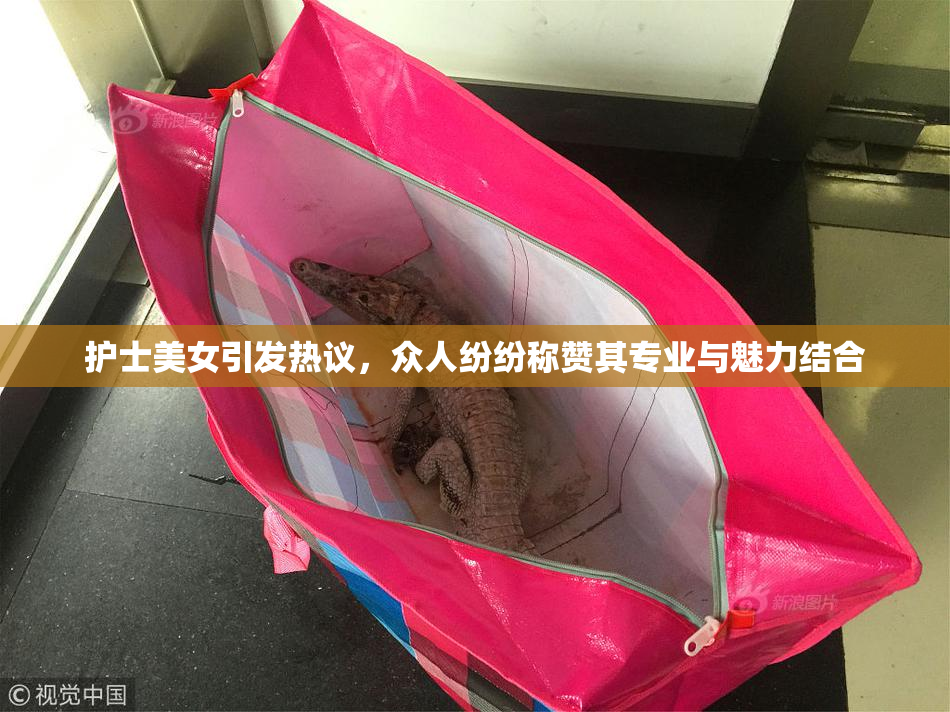 护士美女引发热议，众人纷纷称赞其专业与魅力结合