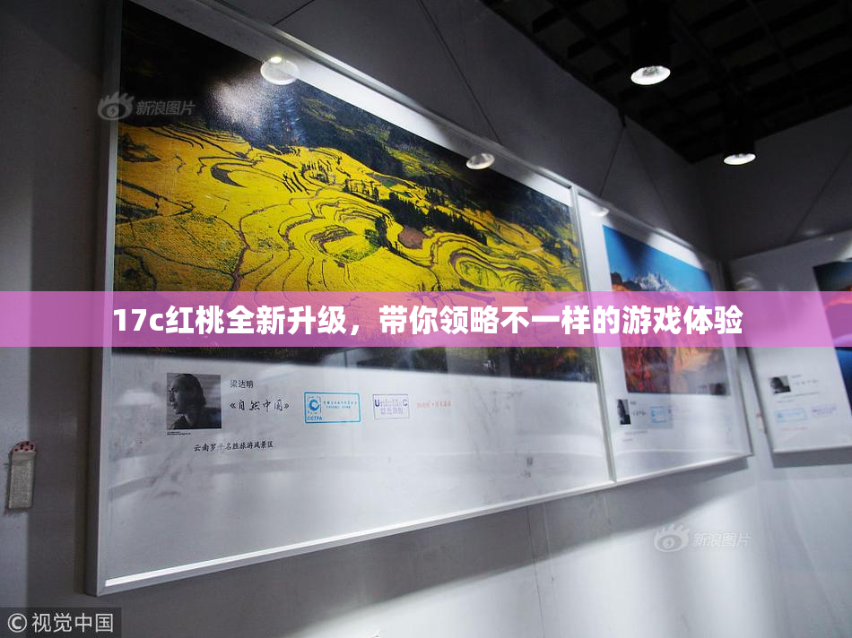 17c红桃全新升级，带你领略不一样的游戏体验